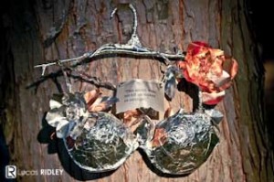 SteelMagnolias